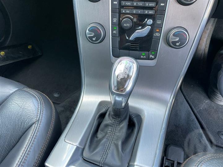 Lazy Owl Image