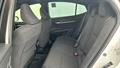 Lazy Owl Image