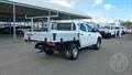 Lazy Owl Image