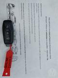 Lazy Owl Image