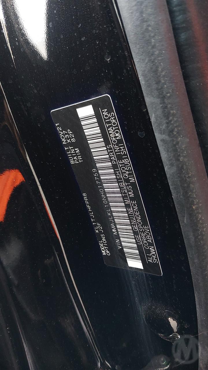 Lazy Owl Image