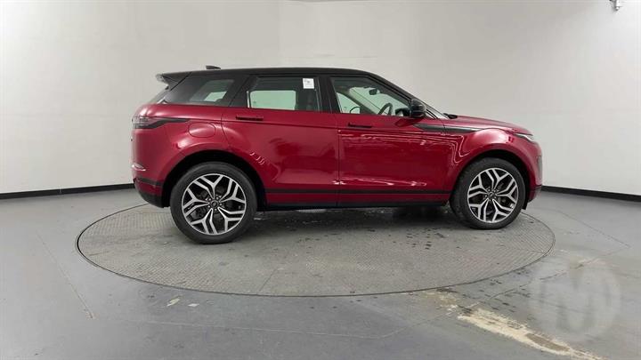 Lazy Owl Image