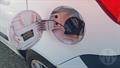 Lazy Owl Image