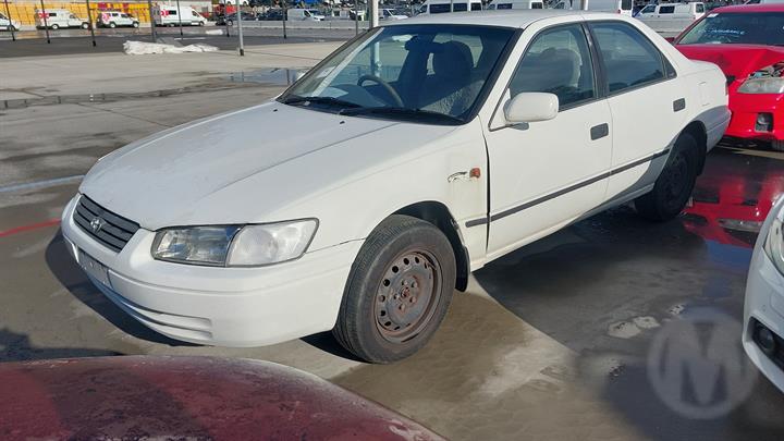 Lazy Owl Image