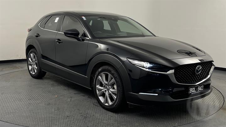 Lazy Owl Image