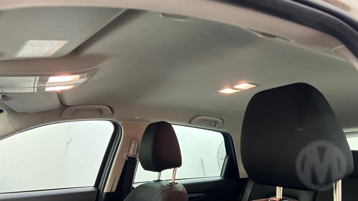 Lazy Owl Image