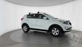 Lazy Owl Image