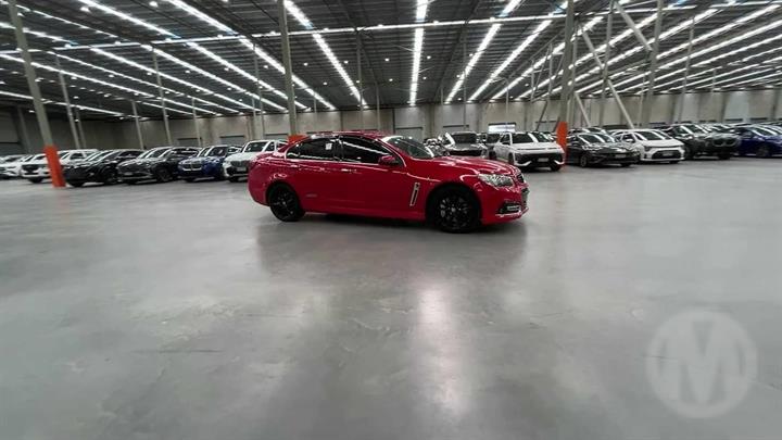 Lazy Owl Image