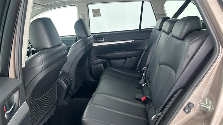 Lazy Owl Image
