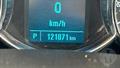 Lazy Owl Image