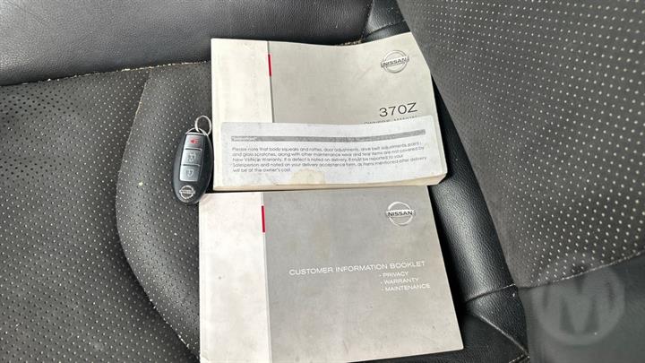 Lazy Owl Image