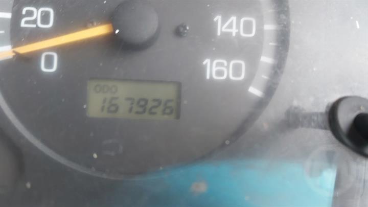 Lazy Owl Image