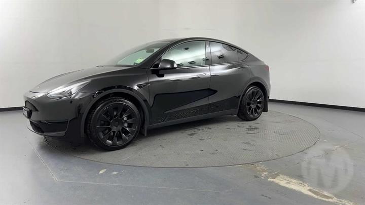 Lazy Owl Image