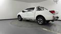 Lazy Owl Image