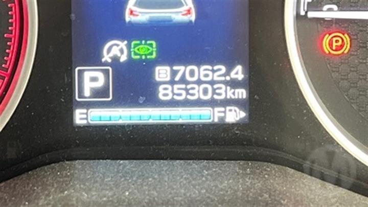 Lazy Owl Image