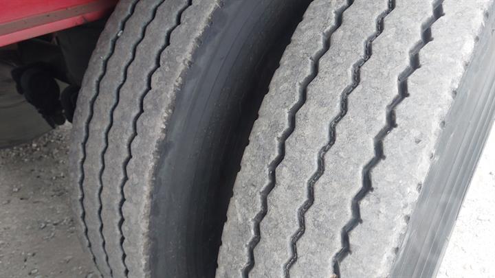 Lazy Owl Image