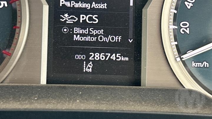 Lazy Owl Image