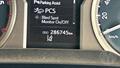 Lazy Owl Image