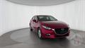Lazy Owl Image