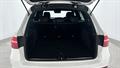 Lazy Owl Image