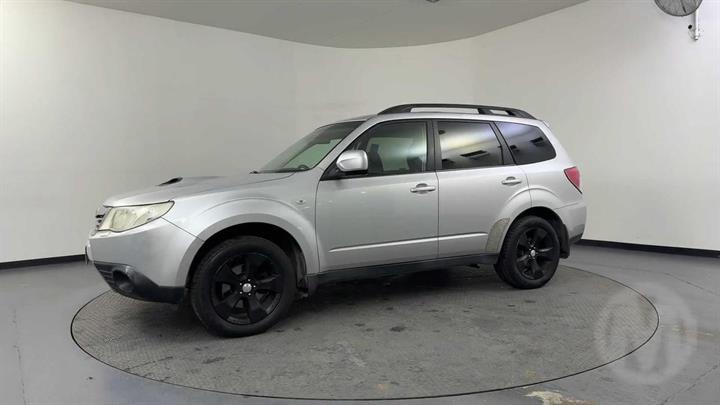 Lazy Owl Image