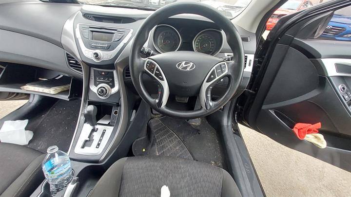 Lazy Owl Image
