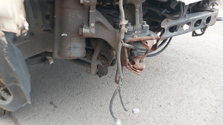 Lazy Owl Image