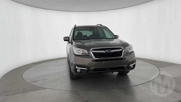 Lazy Owl Image