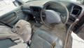 Lazy Owl Image