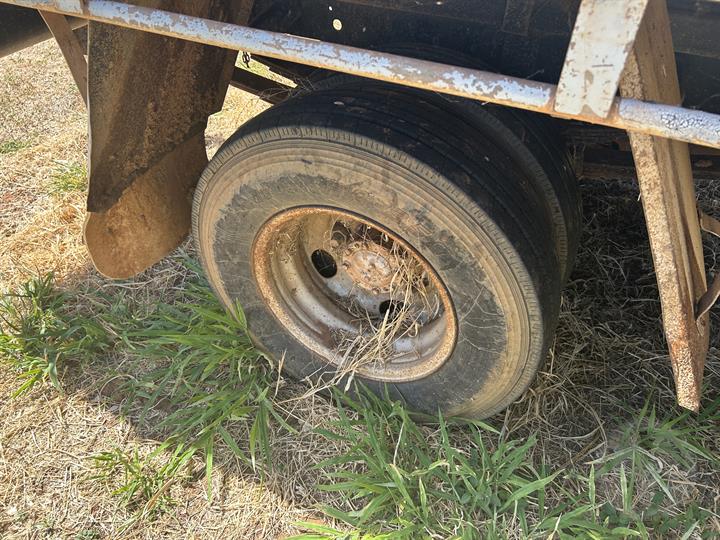 Lazy Owl Image