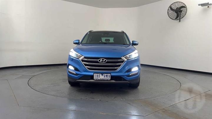 Lazy Owl Image