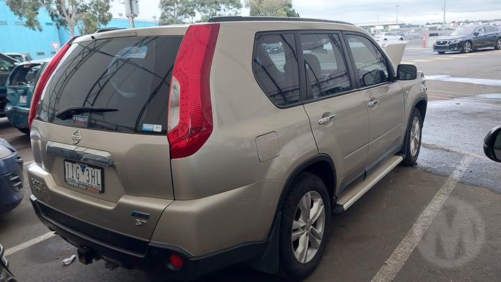 Lazy Owl Image