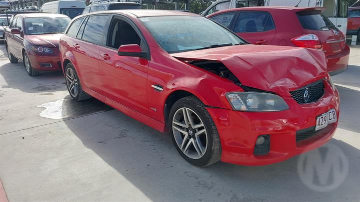 Lazy Owl Image