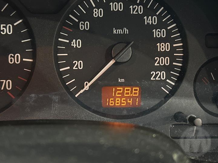 Lazy Owl Image