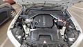 Lazy Owl Image