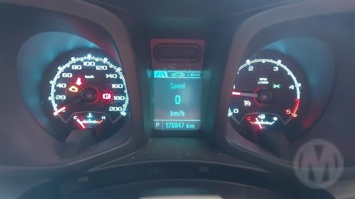 Lazy Owl Image