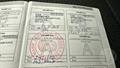 Lazy Owl Image