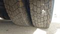 Lazy Owl Image