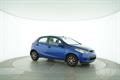 Lazy Owl Image