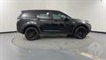 Lazy Owl Image