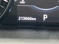 Lazy Owl Image