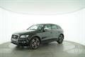 Lazy Owl Image