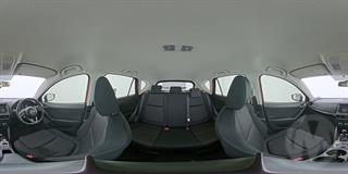 Lazy Owl Image