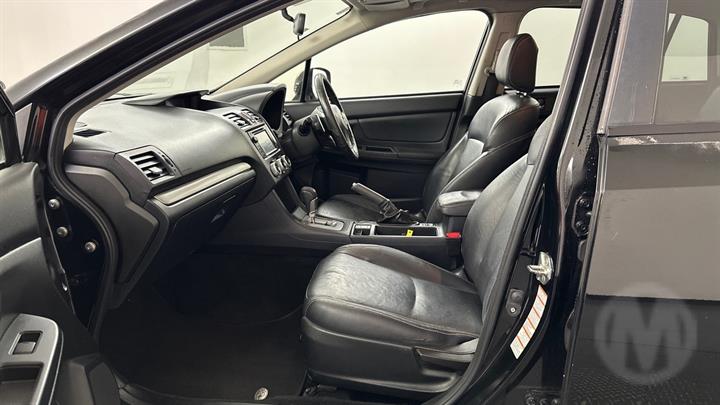 Lazy Owl Image