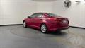 Lazy Owl Image