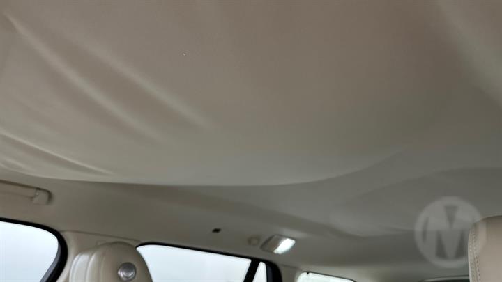 Lazy Owl Image