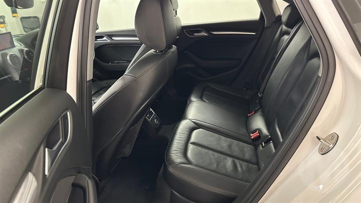 Lazy Owl Image
