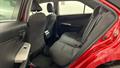 Lazy Owl Image