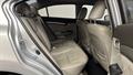 Lazy Owl Image