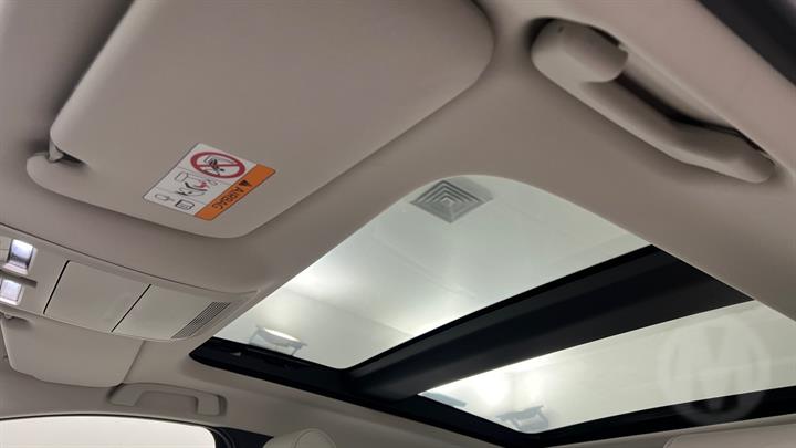 Lazy Owl Image